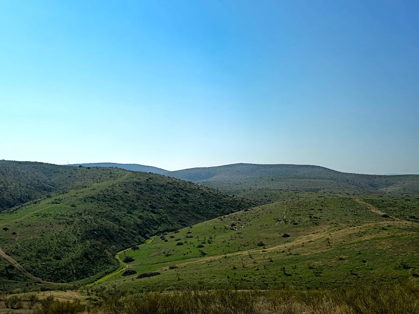 בקעה ירוקה