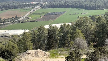 העמק הקסום: 4 המלצות לטיול חורף באחד המקומות היפים בארץ