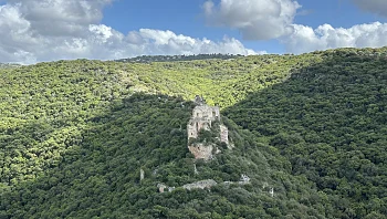 לתת לטבע לדבר: טיול פריחה באחד מהפארקים היפים בארץ