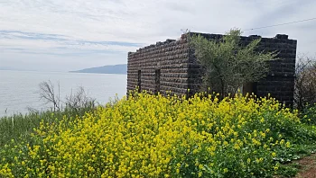 הכנרת שקטה: מסלולים מומלצים ללא תשלום סביב האגם הלאומי