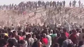 כאוס בעזה: המונים התנפלו על עמדת סיוע, האמריקנים ירי באוויר
